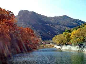 天天彩好彩天天免费，氧化锌报价